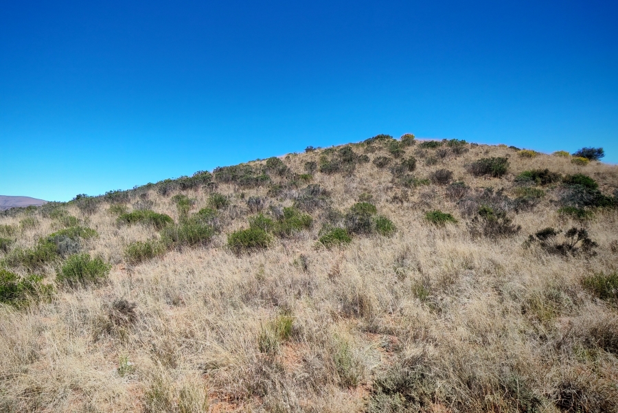 4 Bedroom Property for Sale in Middelburg Rural Eastern Cape
